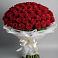 101 Красная роза Блэк Мэджик в поселке имени Цюрупы Букет 101 Красная роза Блэк Мэджик в поселке имени Цюрупы