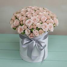 Композиция утонченная красота в поселке имени Цюрупы Цветочная композиция из Розы в шляпной коробке в поселке имени Цюрупы