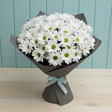 Букет цветов из:  Хризантемы #REPLACE_PRED# поселке имени Цюрупы
