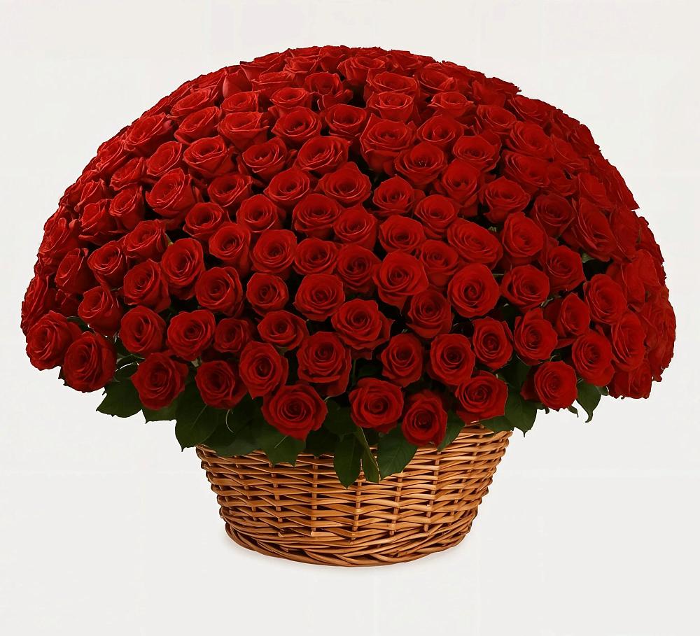 251 Премиум красная роза в поселке имени Цюрупы Премиум букет из: Розы в поселке имени Цюрупы