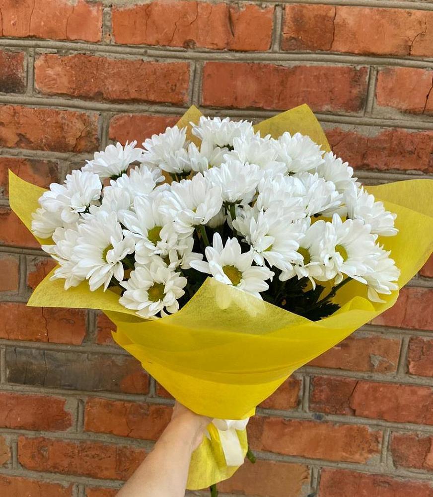 Букет цветов из: Хризантемы в поселке имени Цюрупы