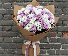 Букет грани совершенства в поселке имени Цюрупы Букет цветов из:  Хризантемы в поселке имени Цюрупы