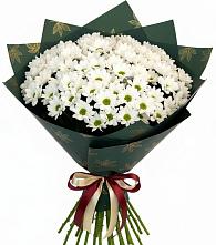 Букет море ромашек в поселке имени Цюрупы Букет цветов из:  Хризантемы в поселке имени Цюрупы