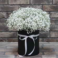 Цветочная композиция из Гипсофила в шляпной коробке #REPLACE_PRED# поселке имени Цюрупы