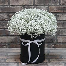 Цветочная композиция из Гипсофила в шляпной коробке в поселке имени Цюрупы