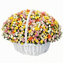 Премиум букет из: Розы в поселке имени Цюрупы