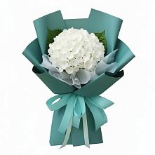 Букет цветов из:  Гортензия в поселке имени Цюрупы